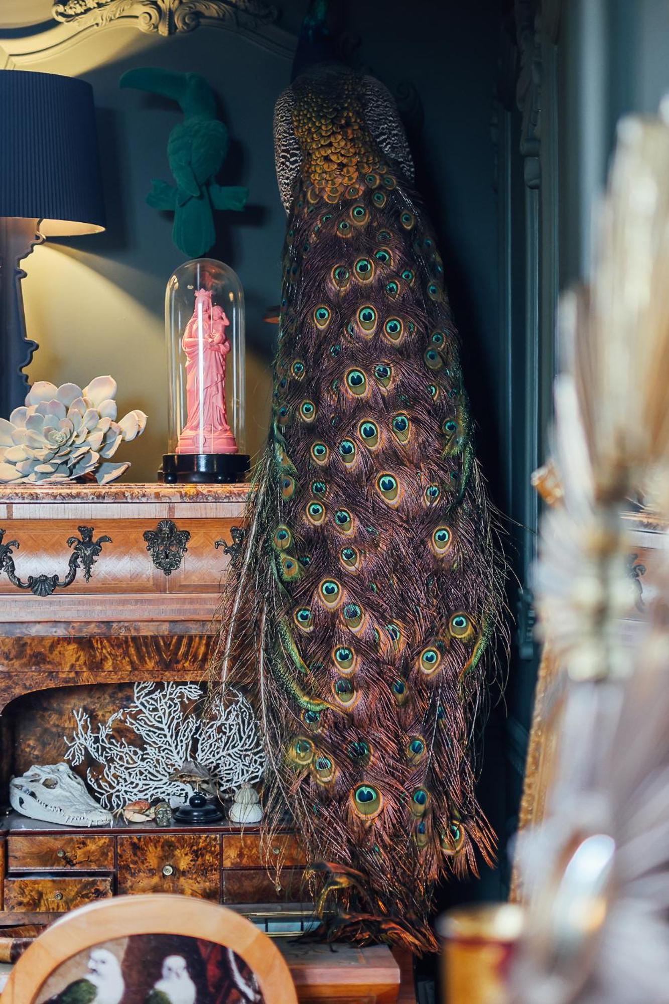 Malouiniere Guillaume Onffroy Bed & Breakfast Saint-Malo Eksteriør bilde